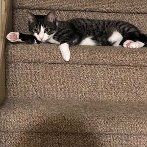 Meet your Posher, Leeann